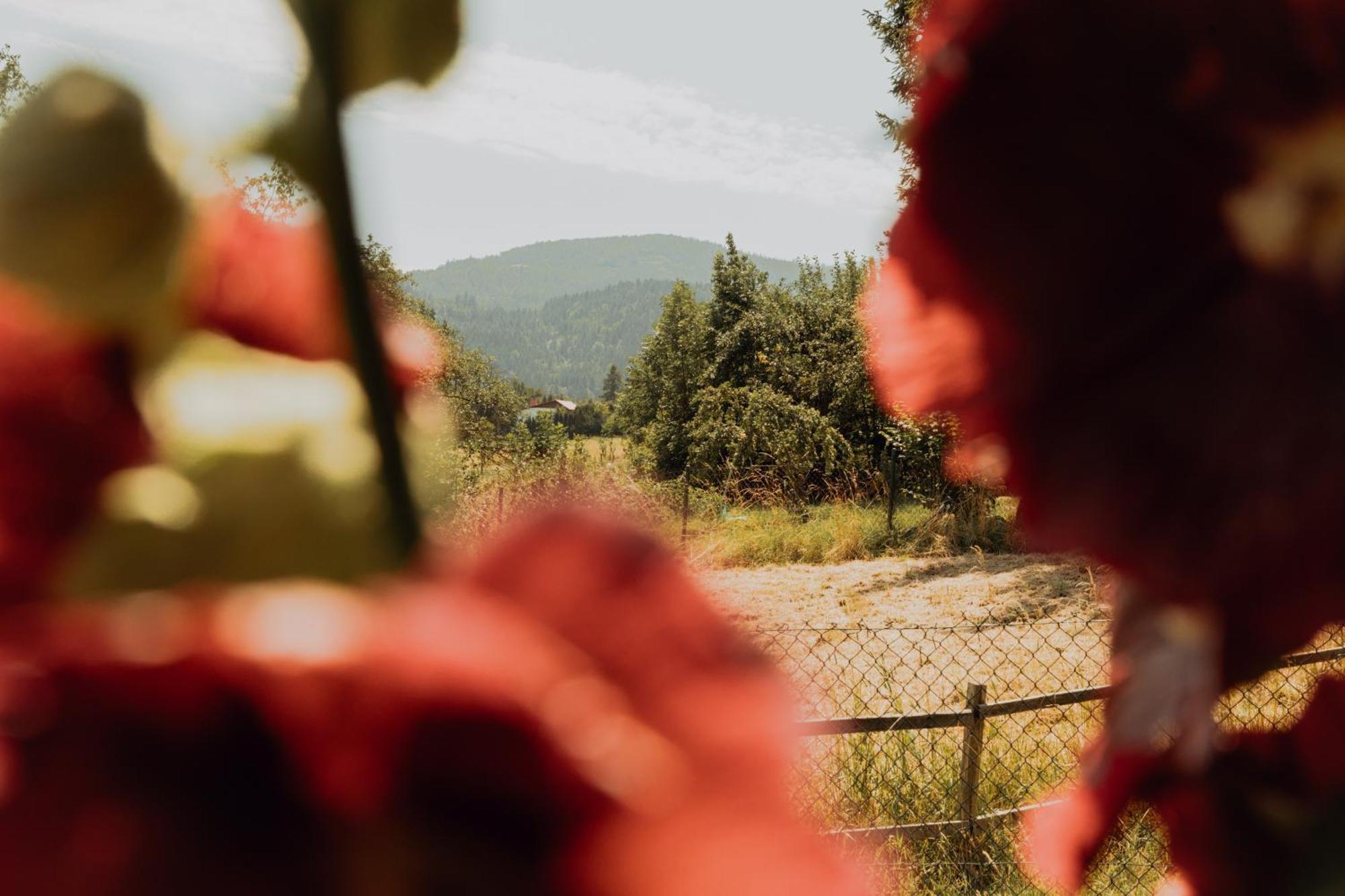 Na Wzgorzu Farm stay Sopotnia Wielka