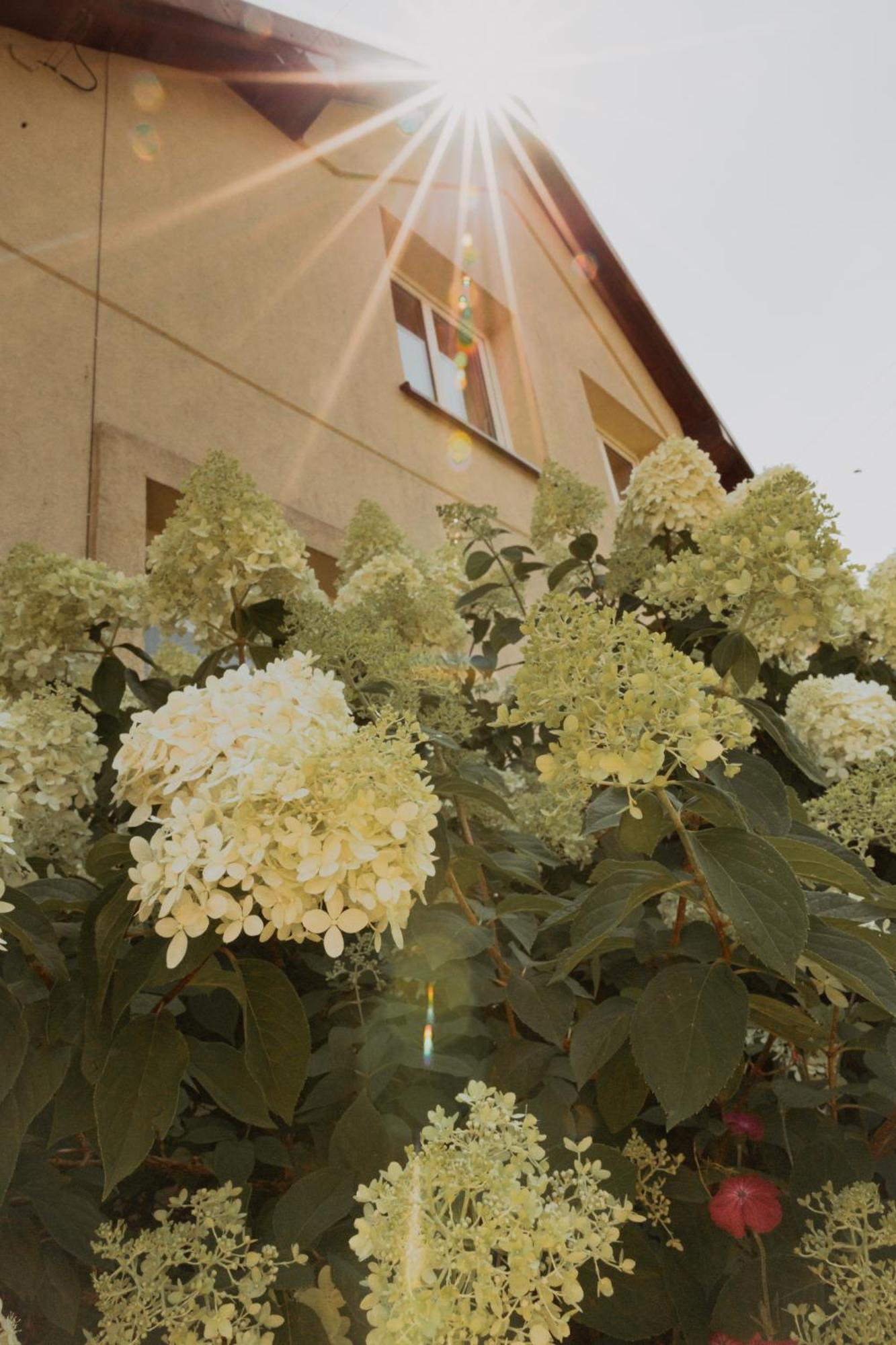 Farm stay Na Wzgorzu Sopotnia Wielka