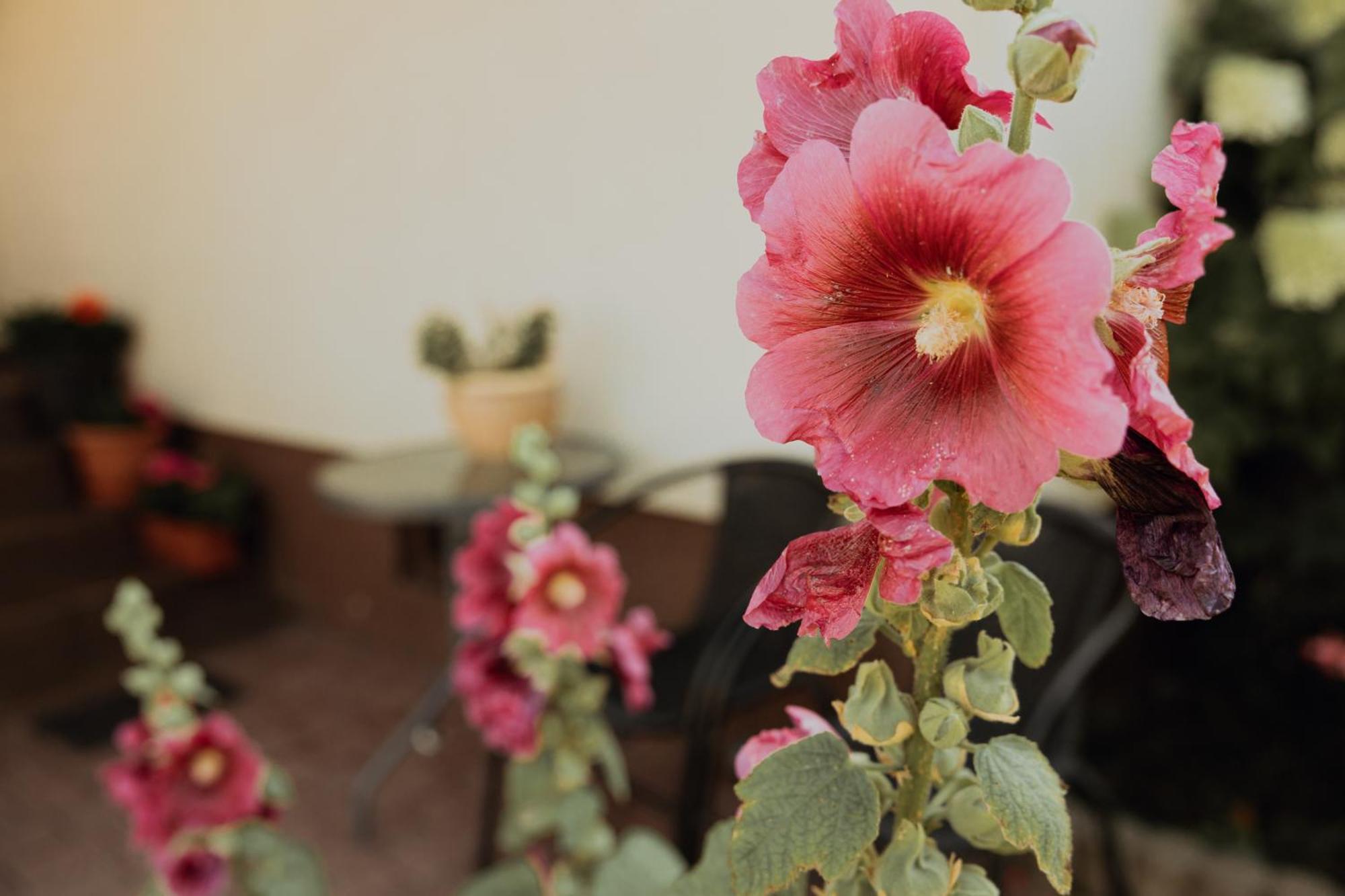 Farm stay Na Wzgorzu Sopotnia Wielka